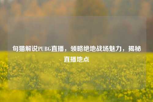 旬猫解说PUBG直播,领略绝地战场魅力,揭秘直播地点