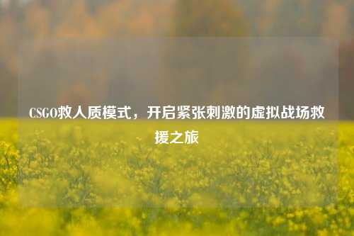 CSGO救人质模式,开启紧张刺激的虚拟战场救援之旅