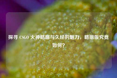 探寻 CSGO 火神略磨与久经的魅力,略磨版究竟如何?