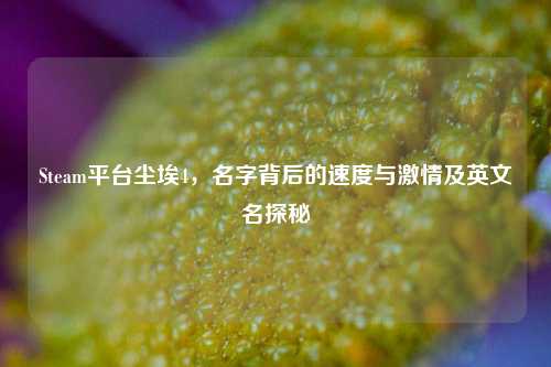 Steam平台尘埃4,名字背后的速度与激情及英文名探秘