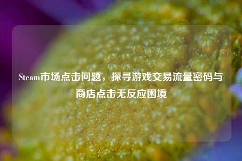Steam市场点击问题,探寻游戏交易流量密码与商店点击无反应困境