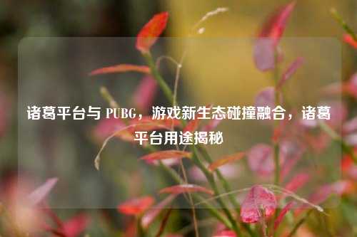 诸葛平台与 PUBG,游戏新生态碰撞融合,诸葛平台用途揭秘