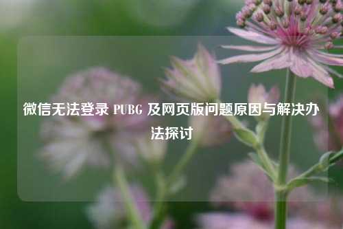 微信无法登录 PUBG 及网页版问题原因与解决办法探讨