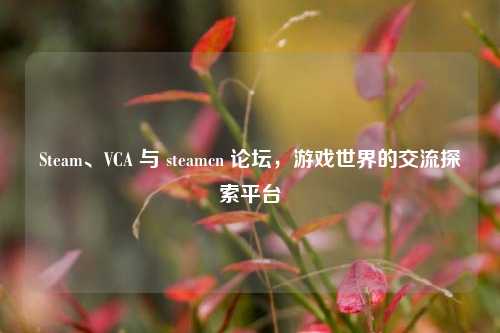 Steam、VCA 与 steamcn 论坛,游戏世界的交流探索平台
