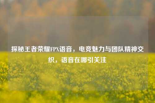 探秘王者荣耀FPX语音，电竞魅力与团队精神交织，语音在哪引关注