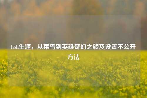 LoL生涯，从菜鸟到英雄奇幻之旅及设置不公开方法